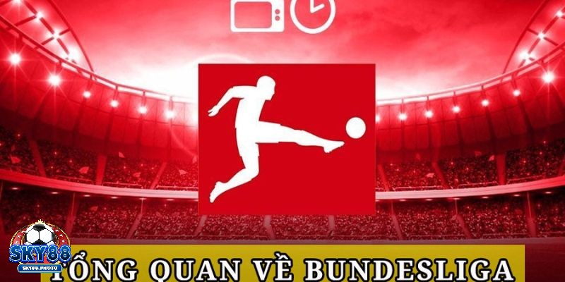 Kèo Bóng Đá Đức Là Gì? Hiểu Rõ Để Đặt Cược Thành Công